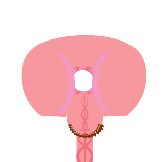 lHairyButtl's emblem
