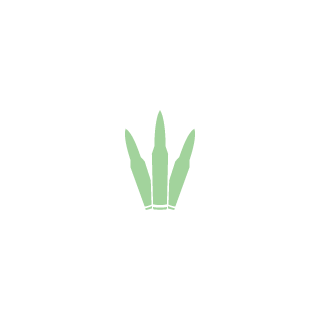 8cole88's emblem