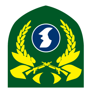386sucks's emblem