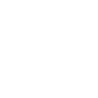 RAIDERZER0's emblem