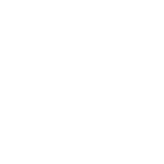 Dashiznit0117's emblem