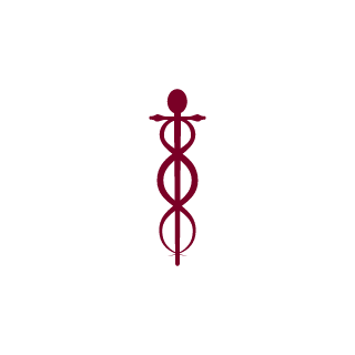 iMaximuZCZ's emblem