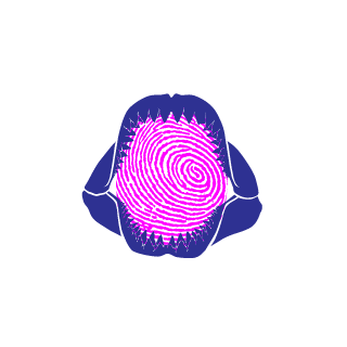 sidekelo's emblem