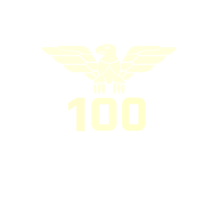 Igp_nV's emblem