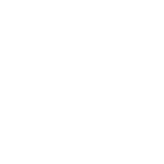 Oleg_Alchevsky's emblem