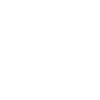 TanukiTurbo's emblem