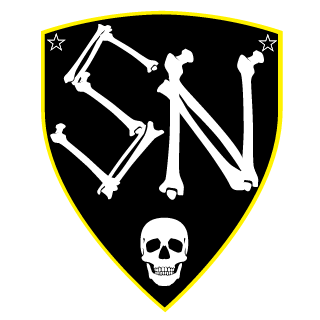 SuperNova e-sport's emblem