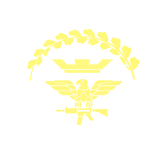 MadSurfer's emblem