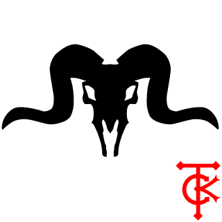 Deyvid_USA_'s emblem