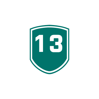 Alapachow13's emblem