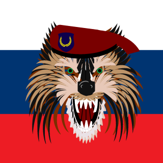 Scotty_VB's emblem