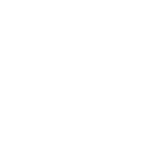 Inf1dus's emblem