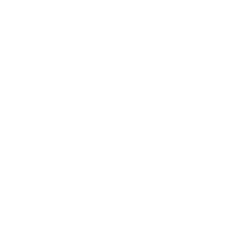 XNight_Ace's emblem