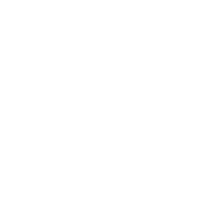 RagingInferno511's emblem