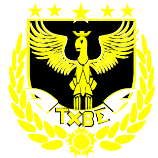 Team Xbox Brasil Elite's emblem