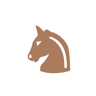 SrLuigui's emblem