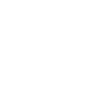 NotSquilly's emblem