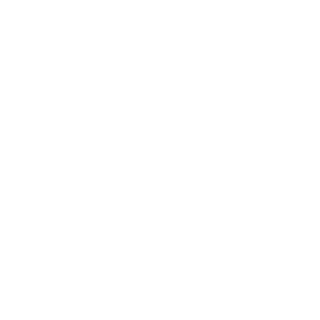 R0N1n_NSK's emblem