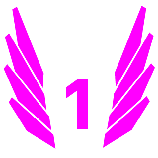 1_TINY_1's emblem