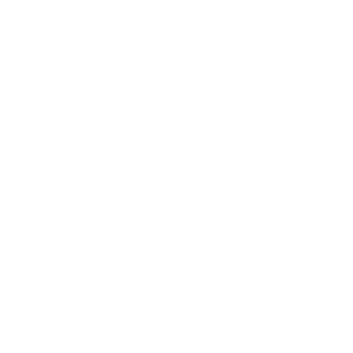 user301x's emblem