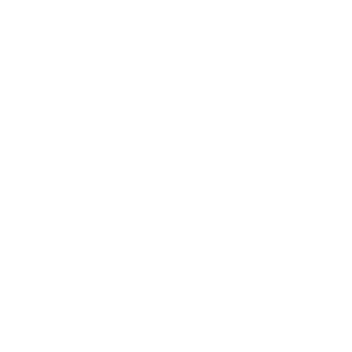 Bratk1lla's emblem
