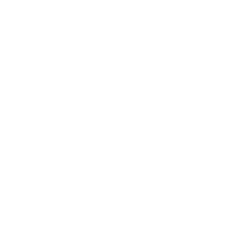 SoupChunks's emblem