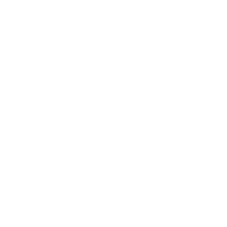 Shelfgames's emblem