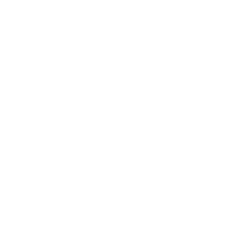 Ico007's emblem