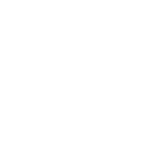 spaceventure's emblem