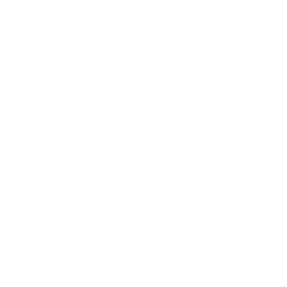 Fjara's emblem
