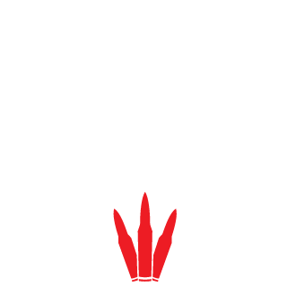 Banana_Raps's emblem