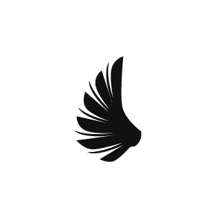 Raven-TS85's emblem