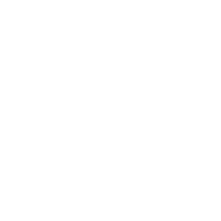 1337NoObZ1337's emblem