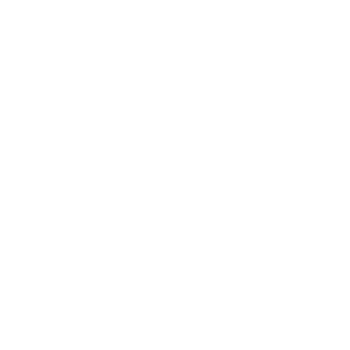 losttotti's emblem