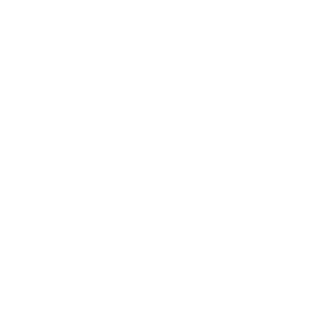 DesignateFlame's emblem