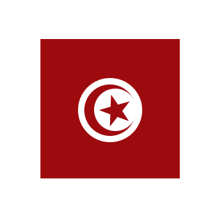 Dr_Override's emblem