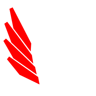 MedoElgibaly's emblem