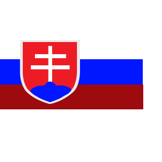 XixiaoSVK's emblem
