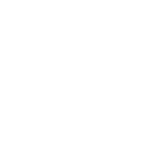 _LLUS_ON's emblem