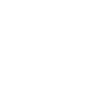 Qv1b1d1's emblem