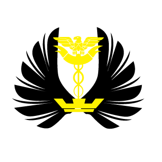 CptH45HEM's emblem