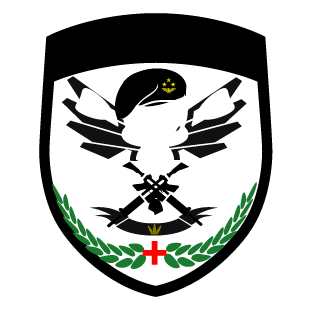 elarturillo12's emblem