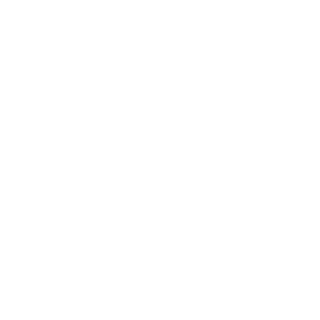 1337m0RTY's emblem