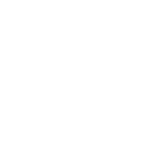 MountainFog343's emblem