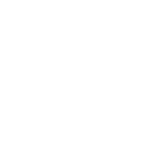 Ridicul0usR's emblem
