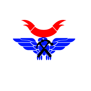 SloWzy5's emblem