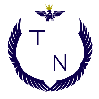 TinyAssassin739's emblem