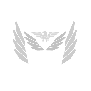 0-ChronicBoom-0's emblem