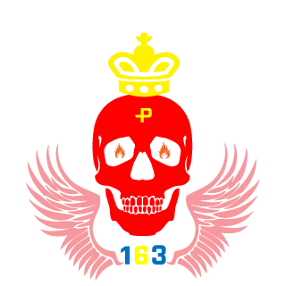 Z30N163's emblem