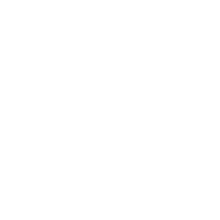 EffectivePrez's emblem